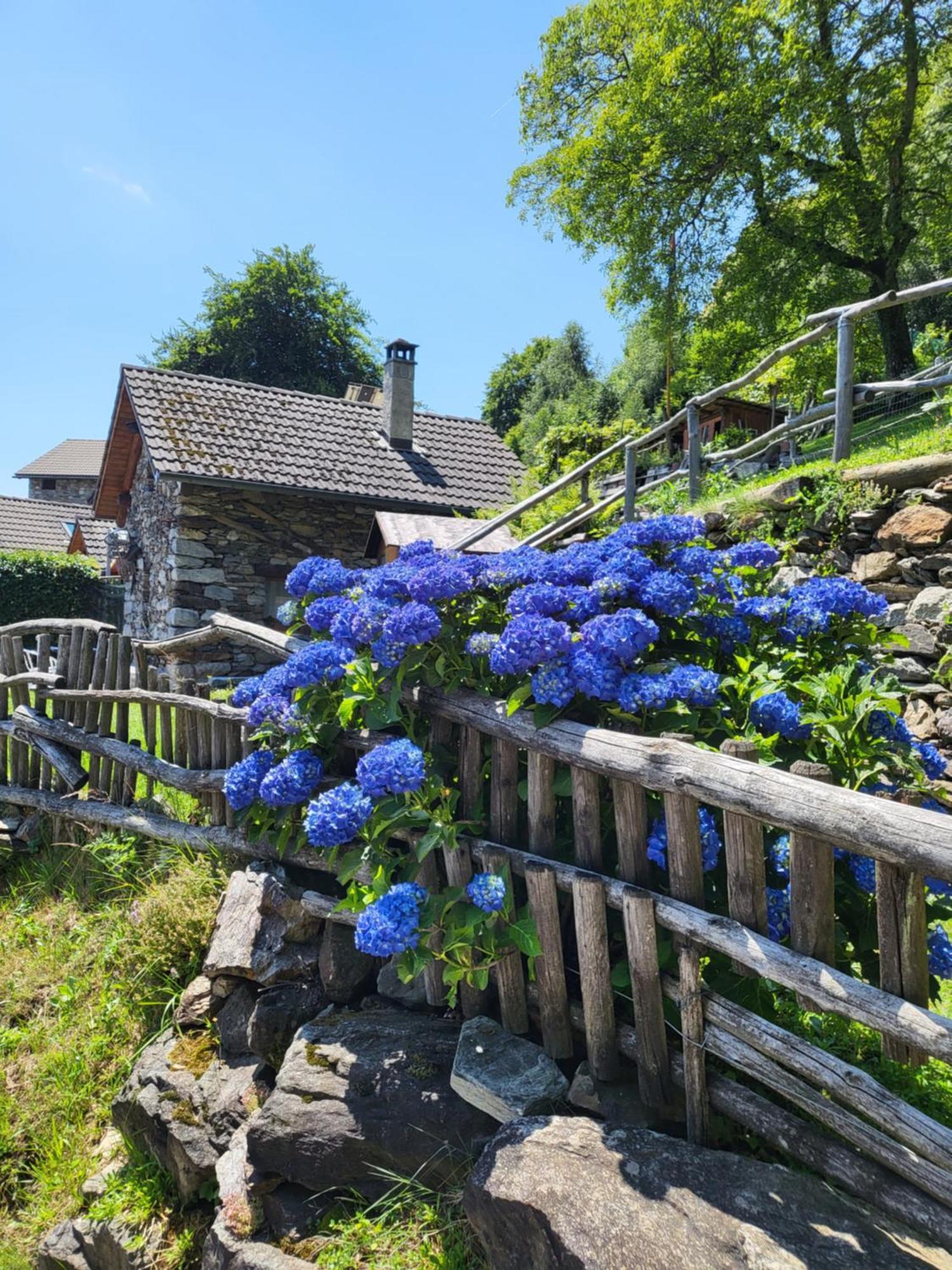 Villa Casa Poiana Ronco sopra Ascona Exterior foto